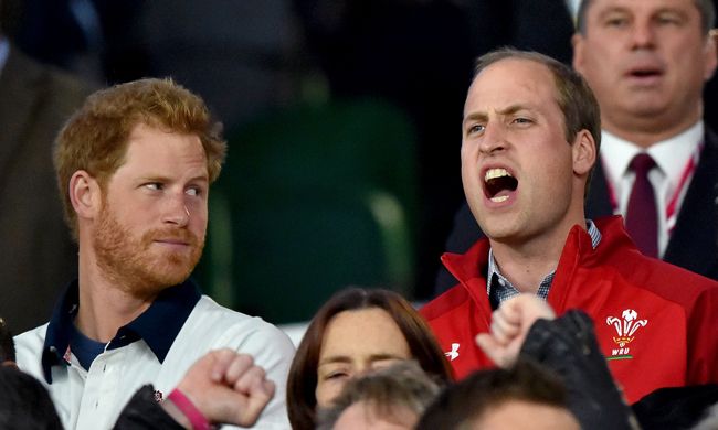 Prince William and Harry at a rugby match