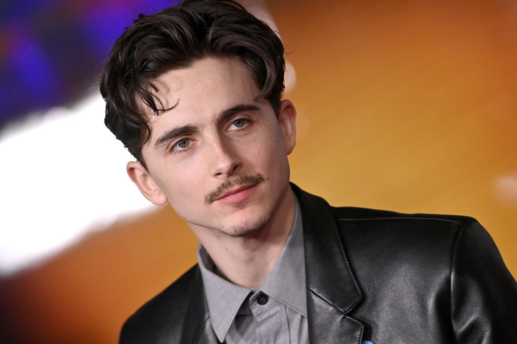 Timothee Chalamet has brand new blonde hair