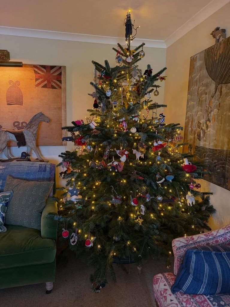 Ben Fogle's Christmas tree is amazing