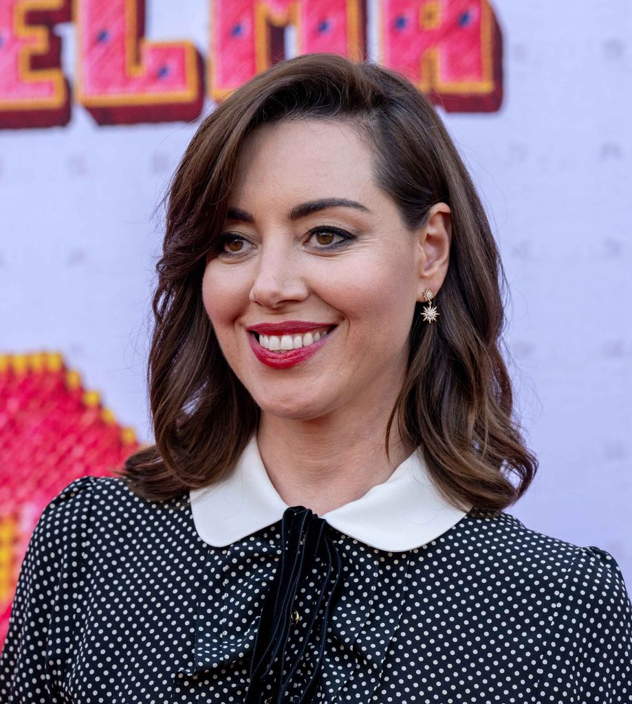 Aubrey Plaza on the red carpet