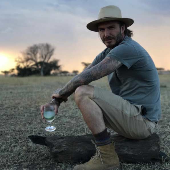 David Beckham safari