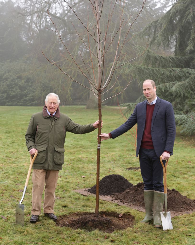 King Charles and Prince William planting a tree
