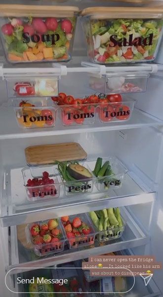 stacey solomon fridge