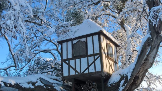 Pitchford Hall Treehouse in Snow