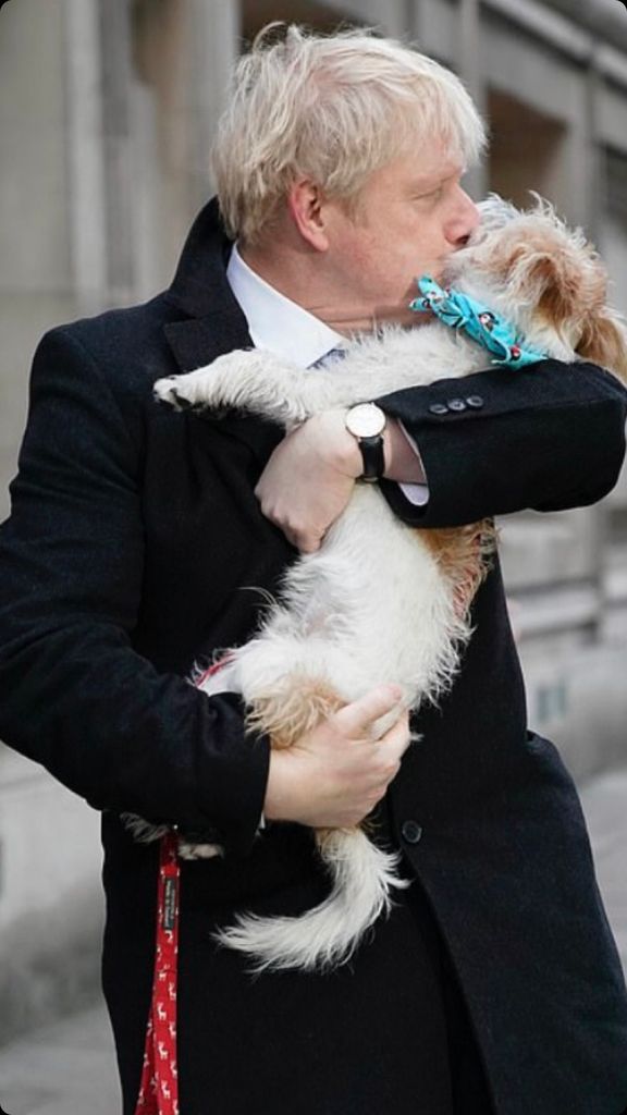A photo of Boris Johnson and his dog Dilyn 