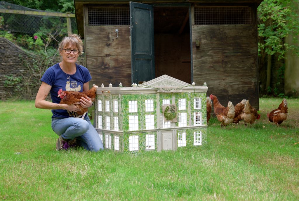 Jo Howorth of British Hen Welfare Trust 