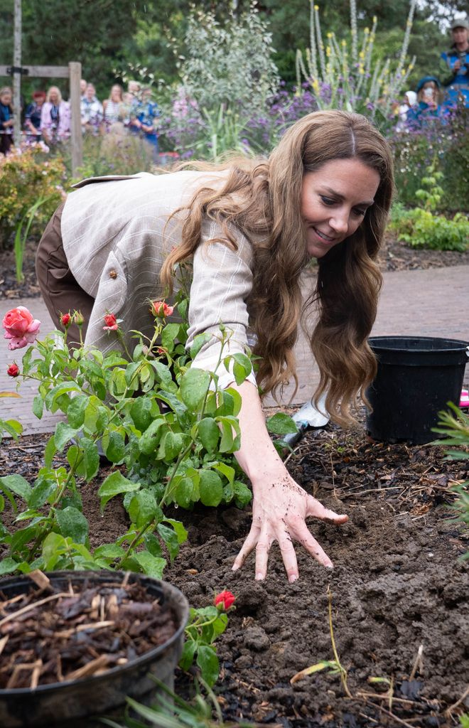 Kate planting rose with her bare hands