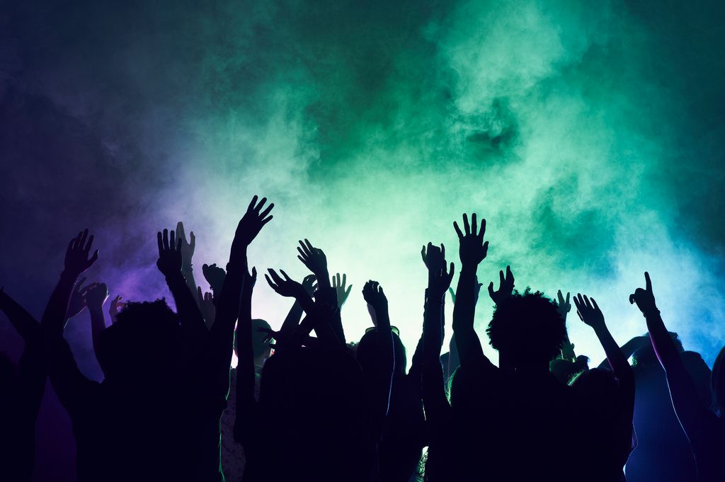 Groupe de personnes s'amusant au concert de musique