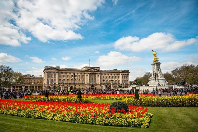 Buckingham Palace flowers