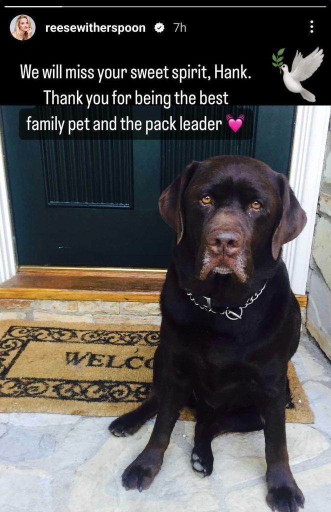 Reese mourns the loss of her dog Hank