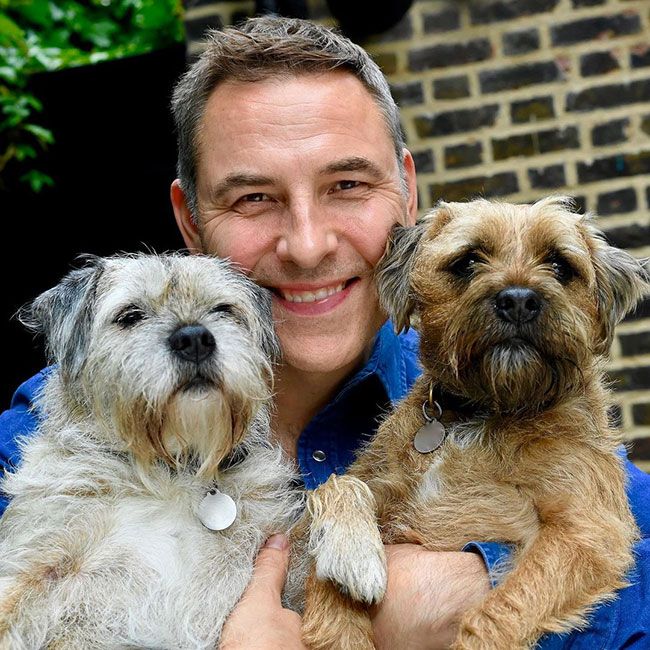 david walliams with his dogs