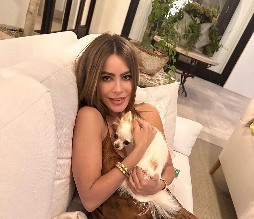 Sofia Vegara cradles chihuahua