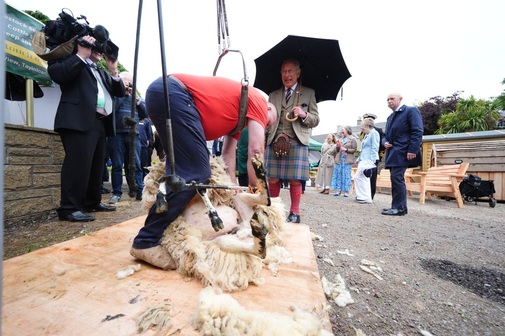 King Charles III watches a sheep being sheared 