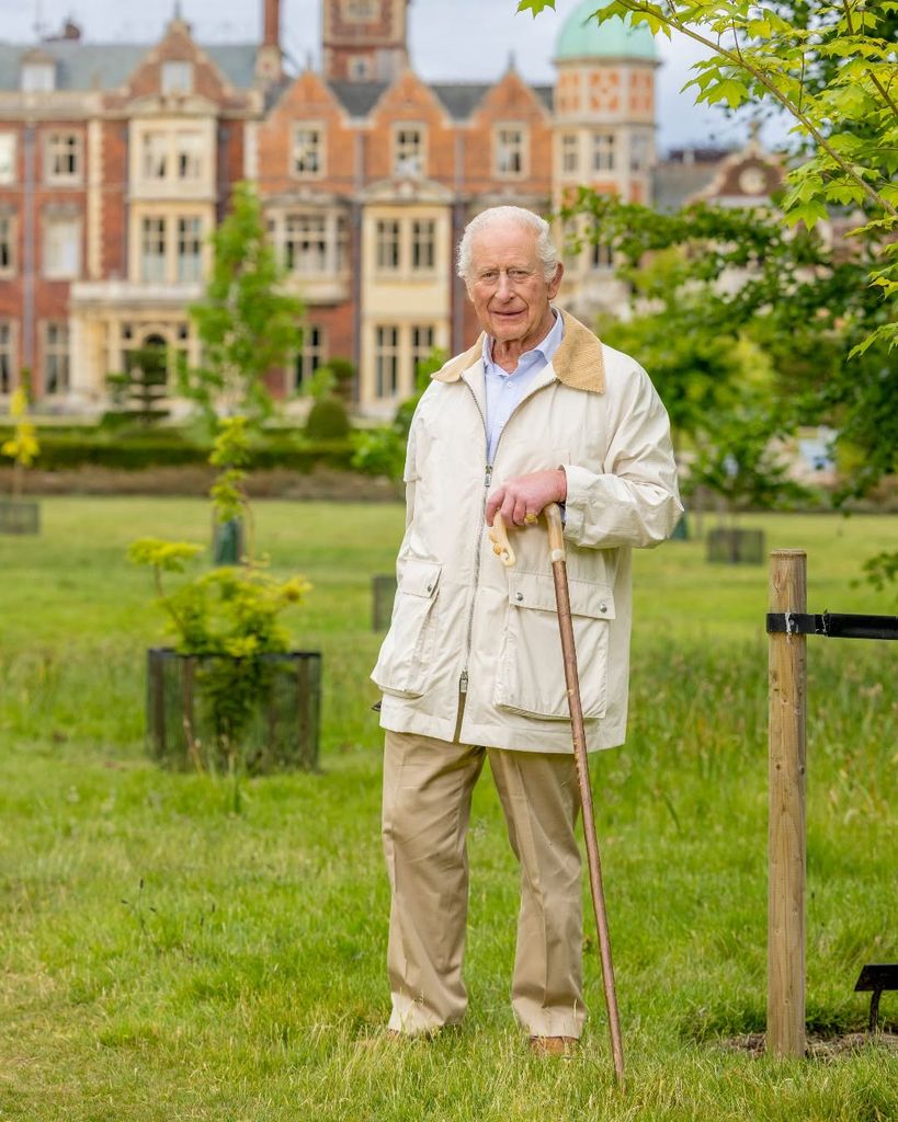 New portrait of King Charles released on his 77th birthday