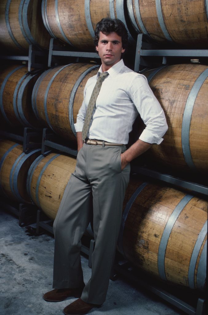 LOS ANGELES - OCTOBER 1: FALCON CREST cast member Lorenzo Lamas. Dated October 1981.   (Photo by CBS via Getty Images) 