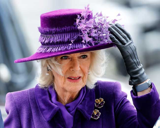 queen consort camilla wearing purple