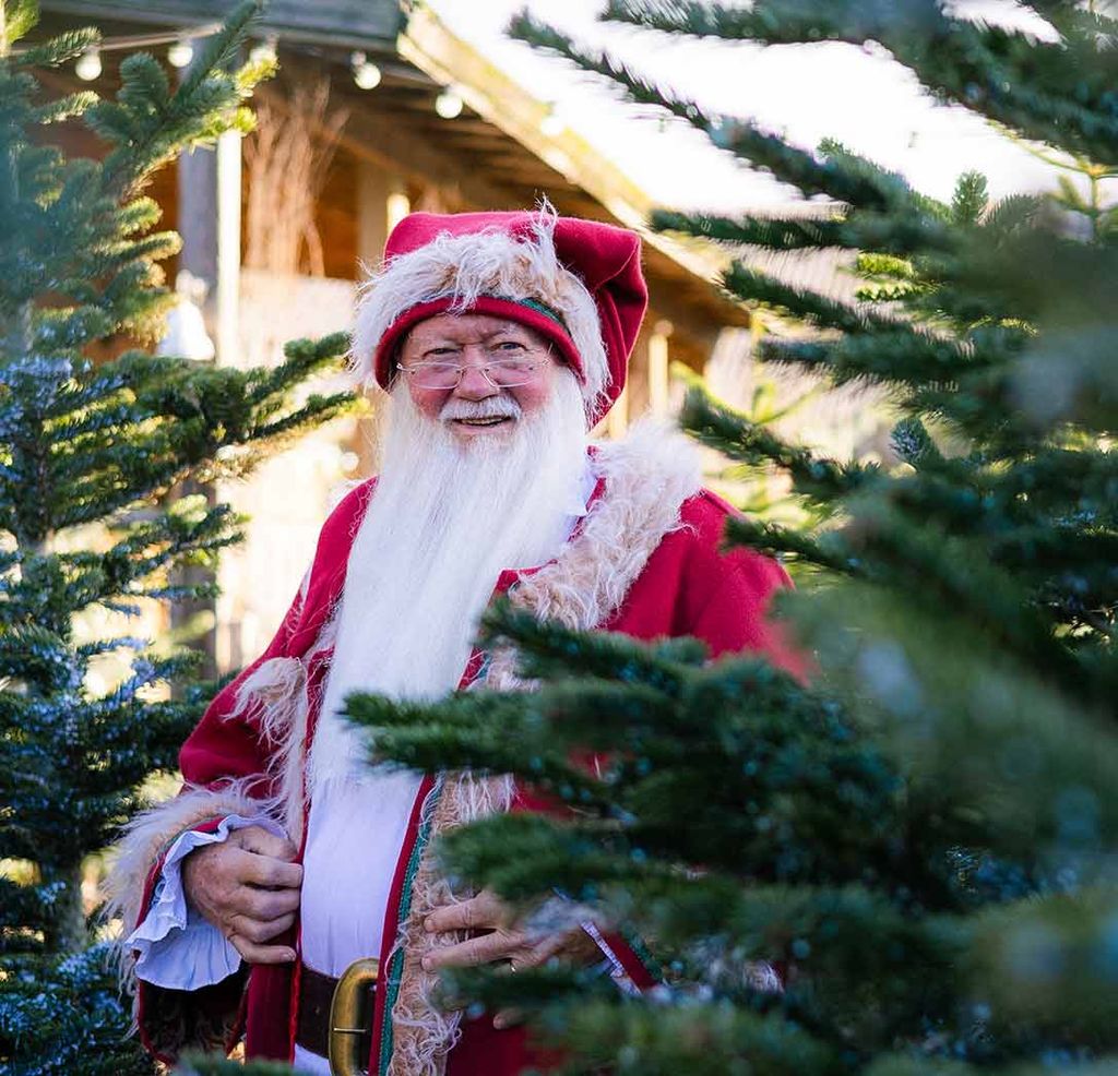 Marsh Farm Christmas Grotto