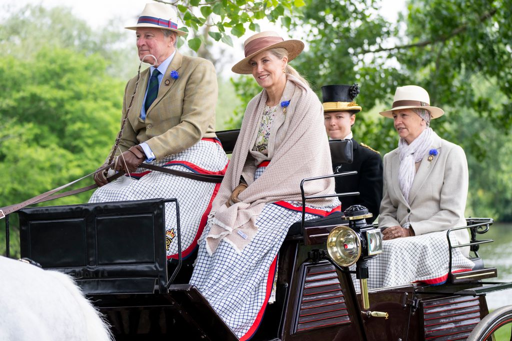 two people taking part in carriage driving 