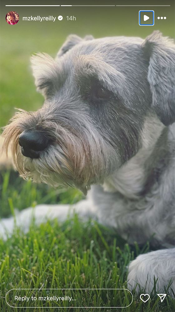 Kelly Reilly's dog