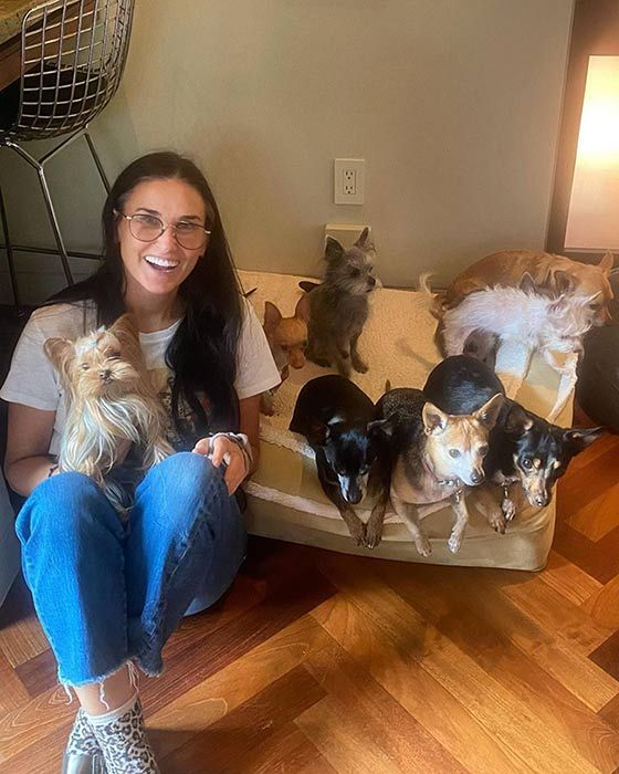 demi moore dinner guests dogs
