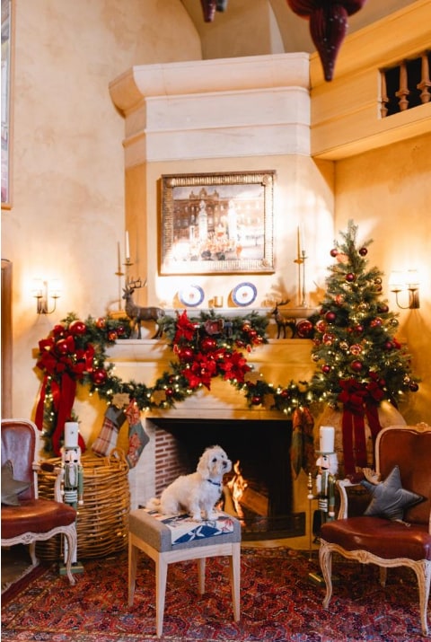 White dog sitting on a stool at Highgrove House in front of a roaring fire