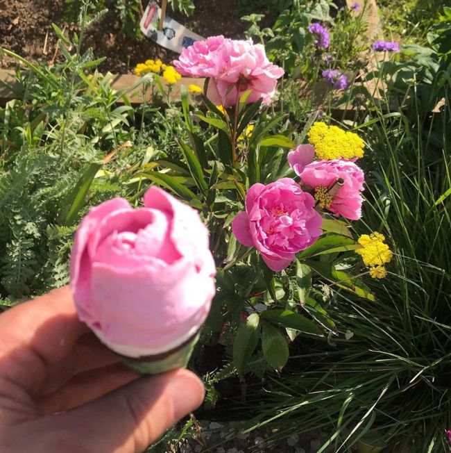 nick knowles garden ice cream