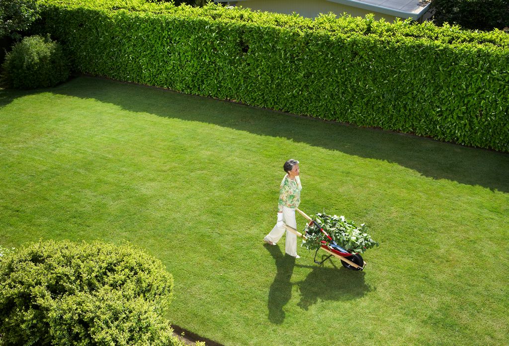 Factor in lawn care when you're planning your autumn maintenance in August