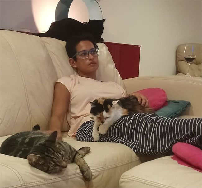 naga munchetty cats sofa