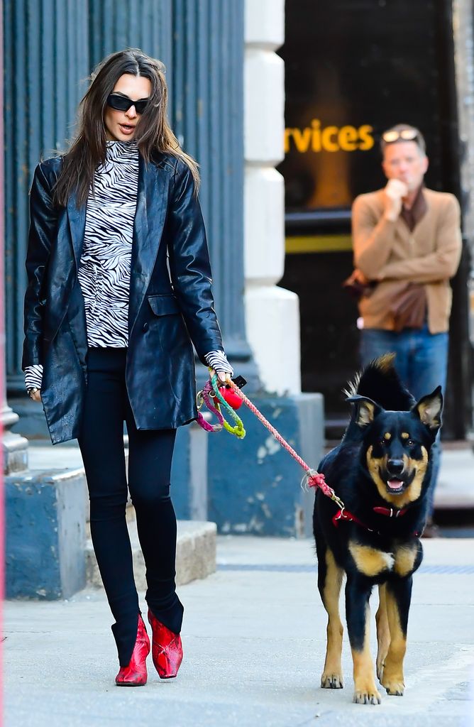 NEW YORK, NY - JANUARY 29:  Model Emily Ratajkowski is seen walking her dog on January 29, 2020 in New York City.  (Photo by Raymond Hall/GC Images)