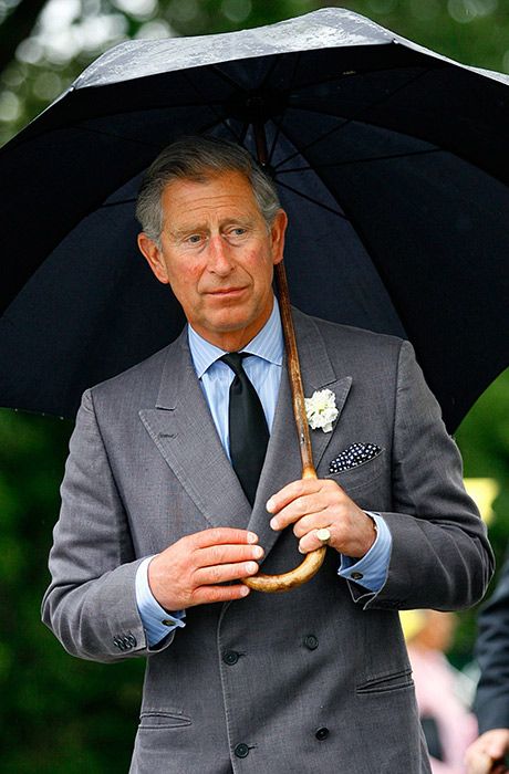 prince charles talks children following diana accident