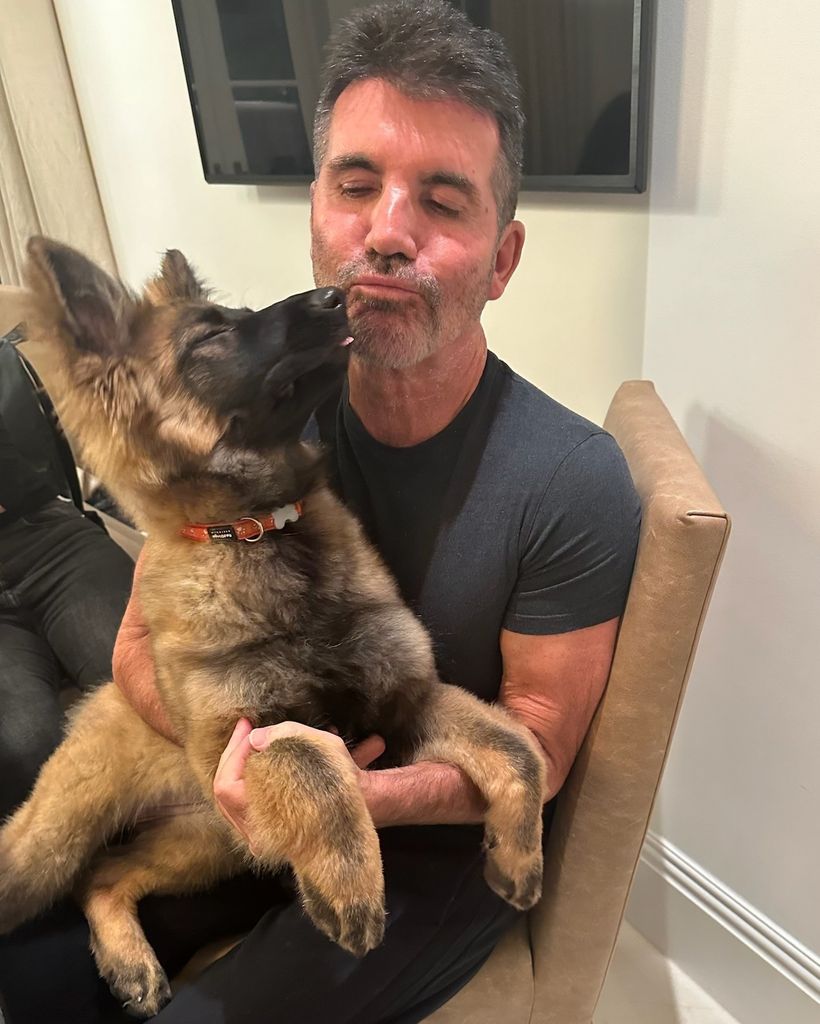 A photo of Simon Cowell and his dog Pebbles