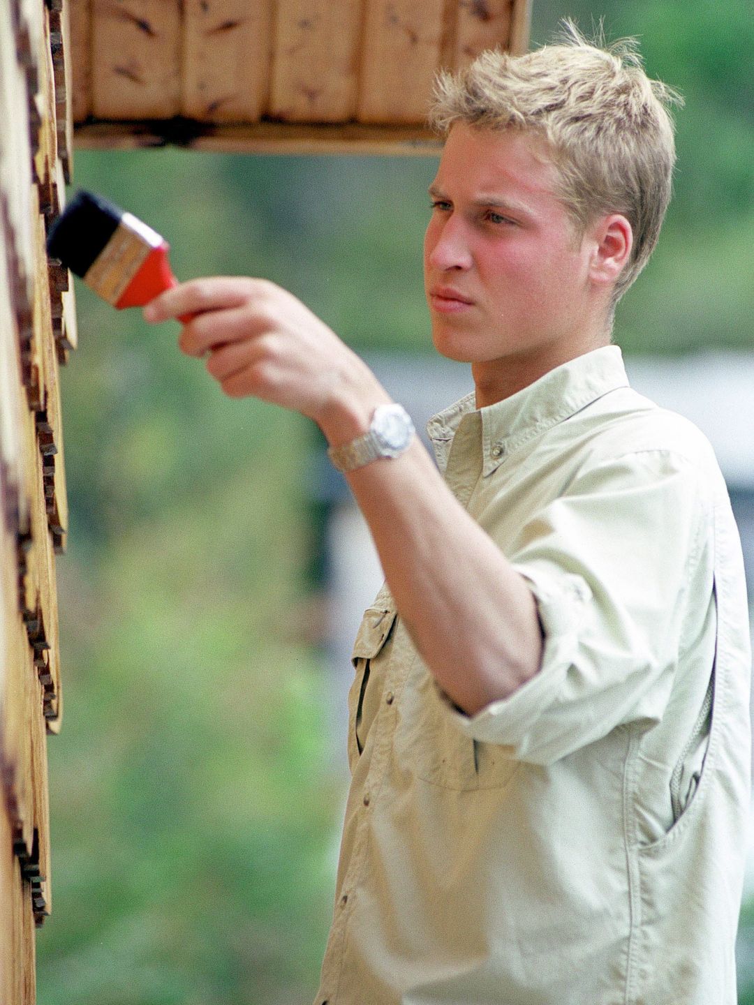 Prince William painting a house