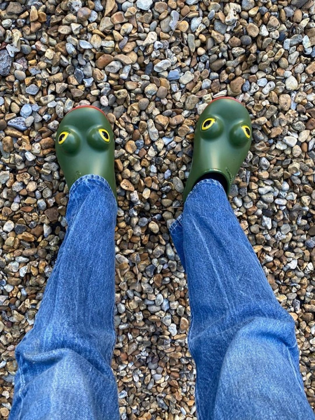 Alexa donned frog-shaped clogs by JW Anderson x Wellipets