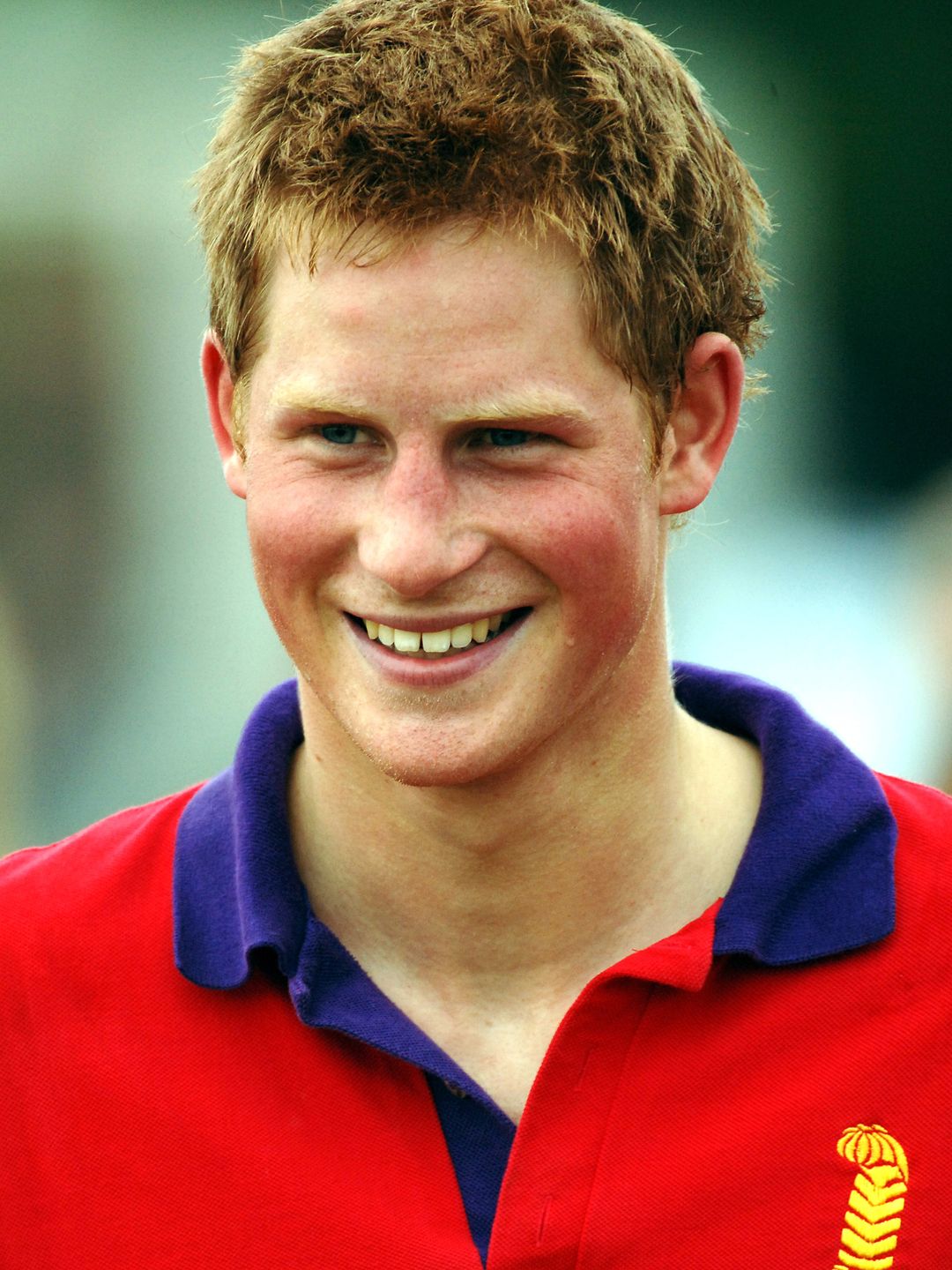 A Young Prince Harry is often cited as inspo for the viral 'Boyfriend Blush' trend