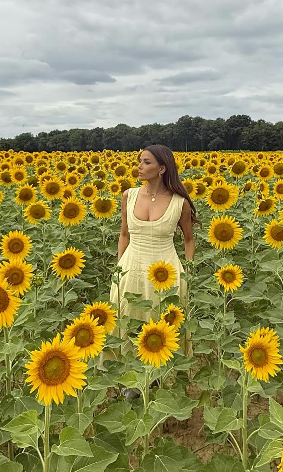 Eva Longoria poses in a yellow dress in a sunflower field