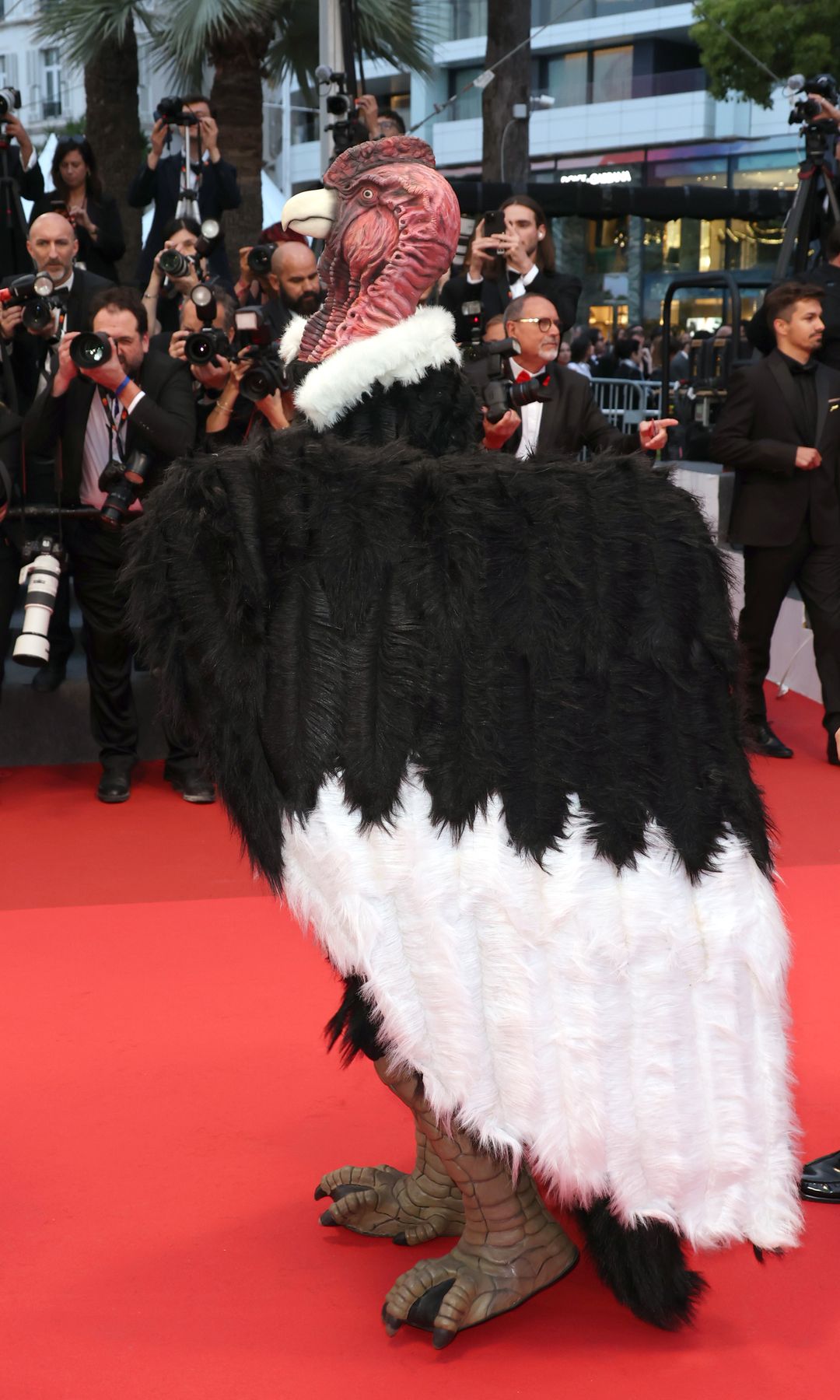A person in a large condor costume on the red carpet
