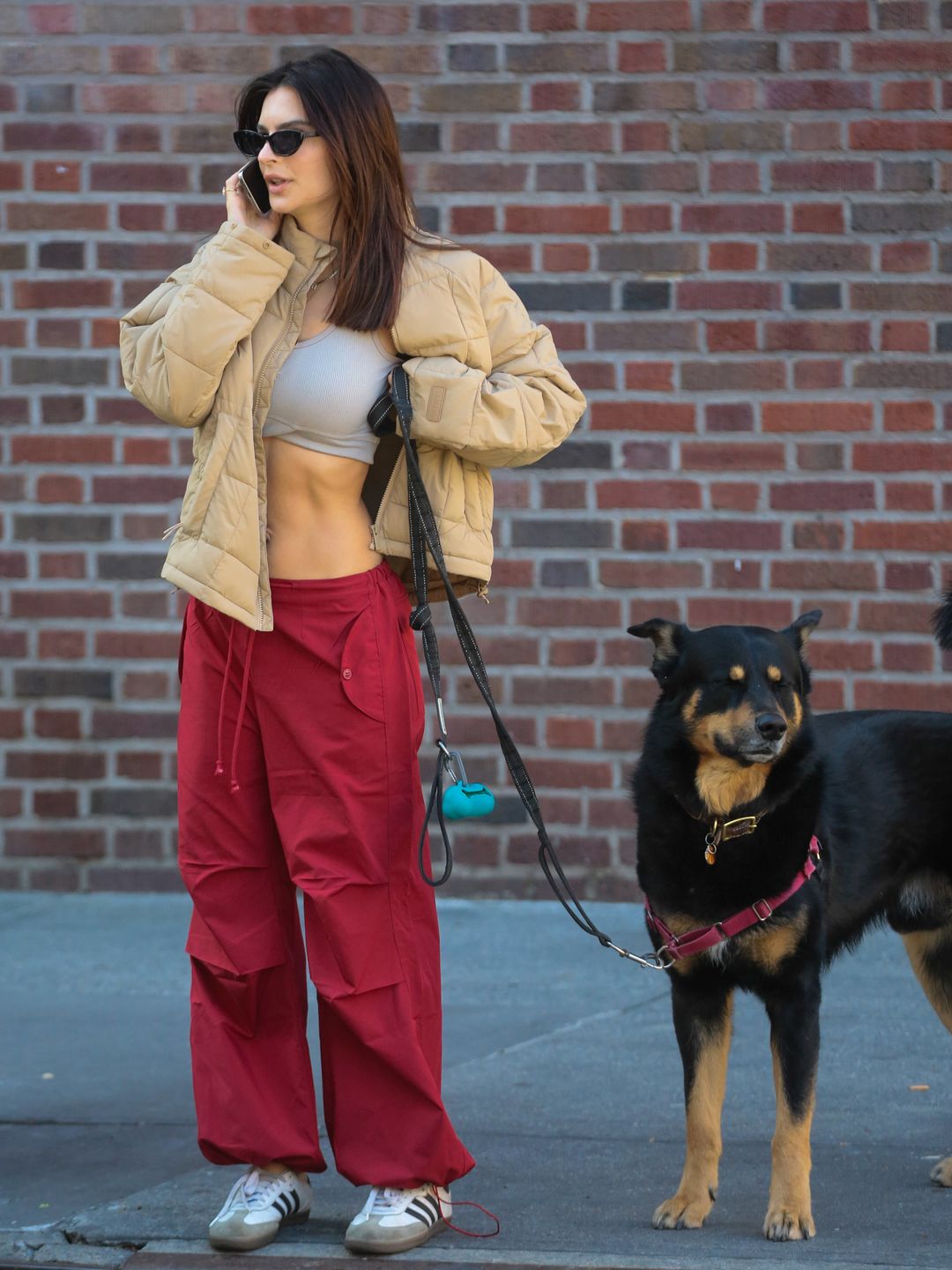 Emily Ratajkowski is seen on April 15, 2024 in New York City walking her dog Colombo