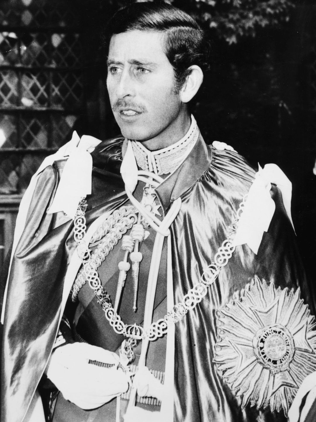 Charles wearing ceremonial robes after being installed as a Great Master of the Most Honorable Order of the Bath 