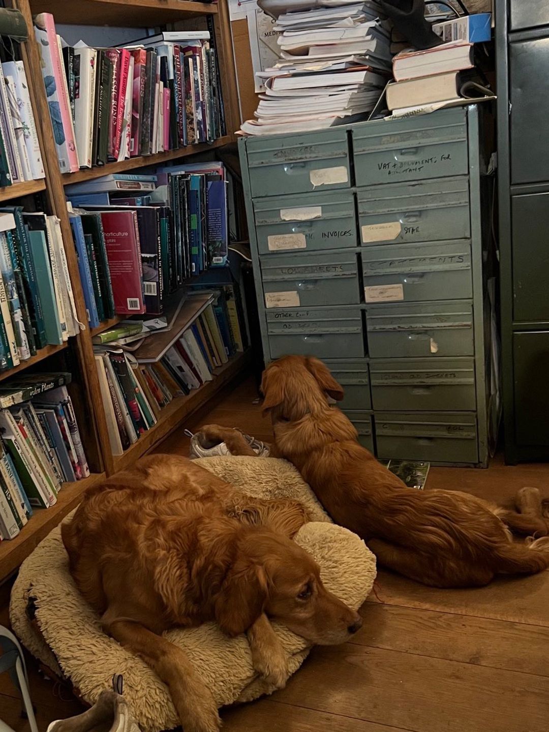 Monty Don's library and work space