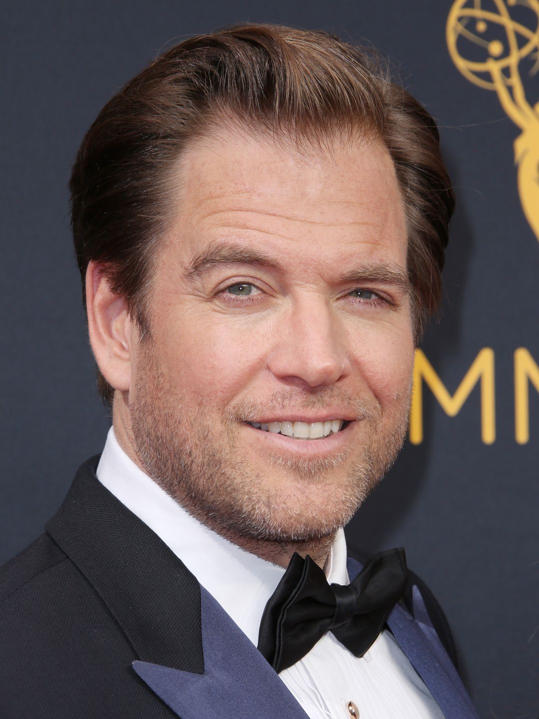Michael Weatherly attending the Emmy Awards