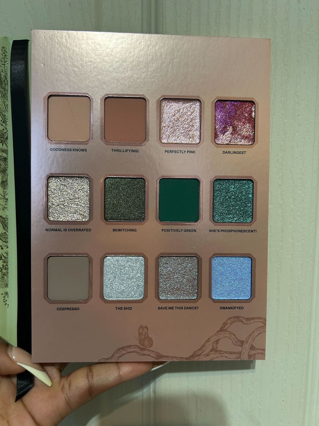 The REM Beauty X Wicked Palette