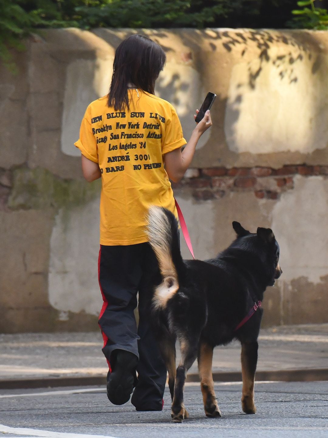  Emily Ratajkowski seen out walking with her dog, Colombo on August 14, 2024