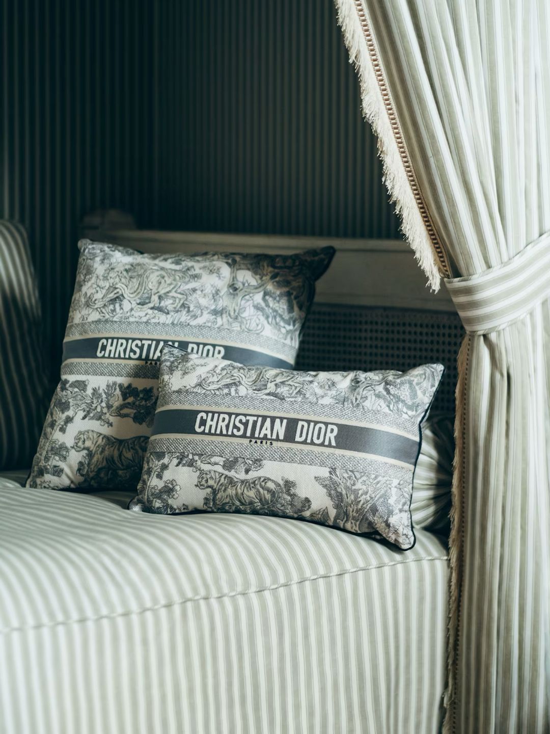 Large Rectangular Pillow - Dior