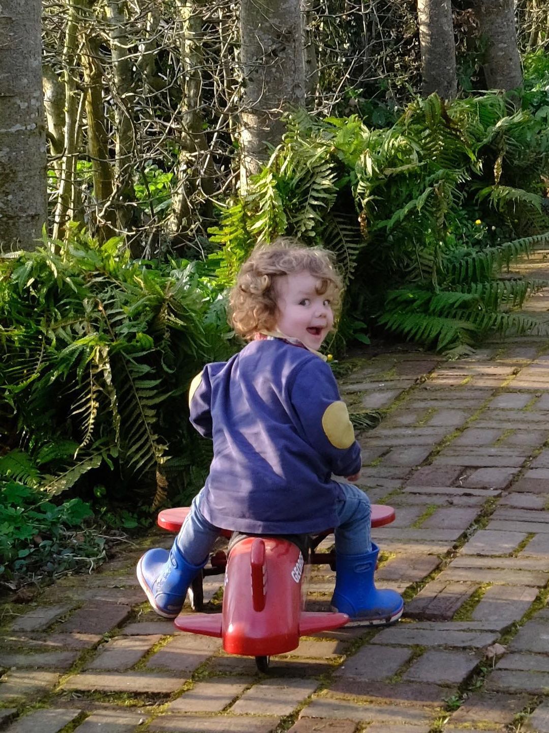 young boy riding a bike in garden