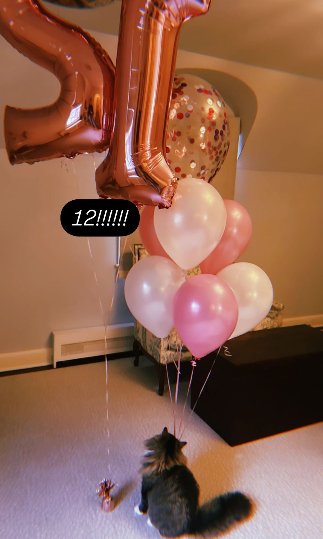 Jenna Bush Hager shares a photo of her cat Maisy Moo with the balloons 12 in her Connecticut home, shared on Instagram