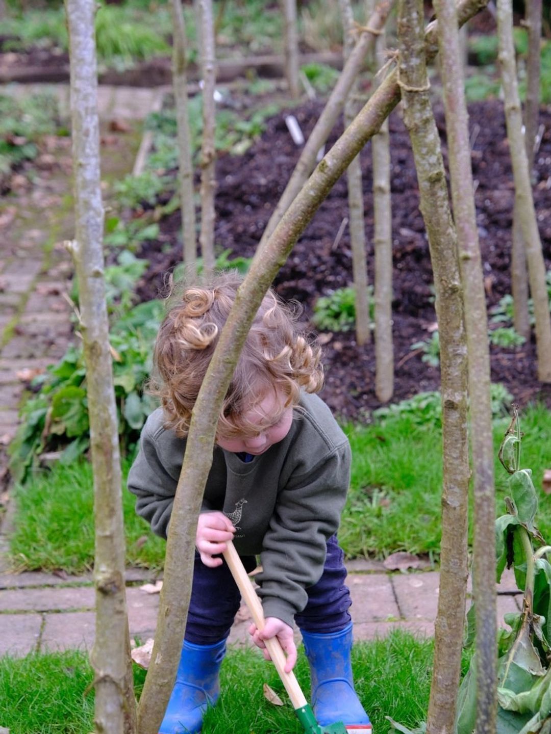 little boy digging in garden