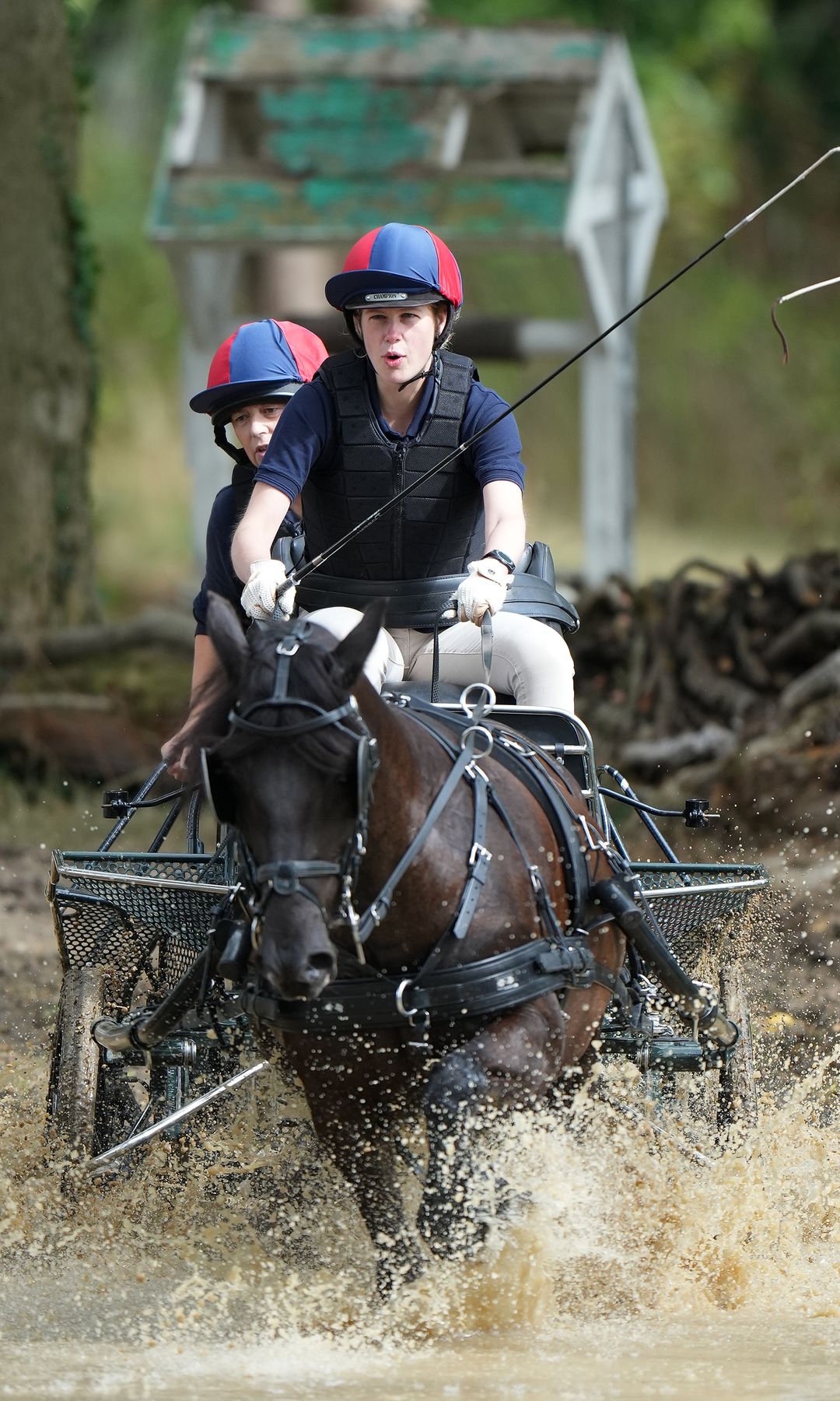 Lady Louise Windsor carriage driving