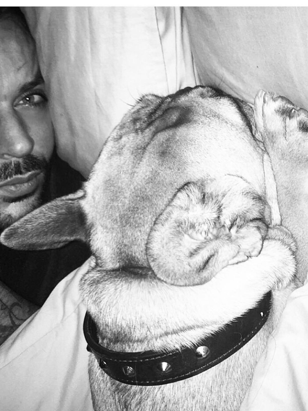 man resting on bed with pet dog