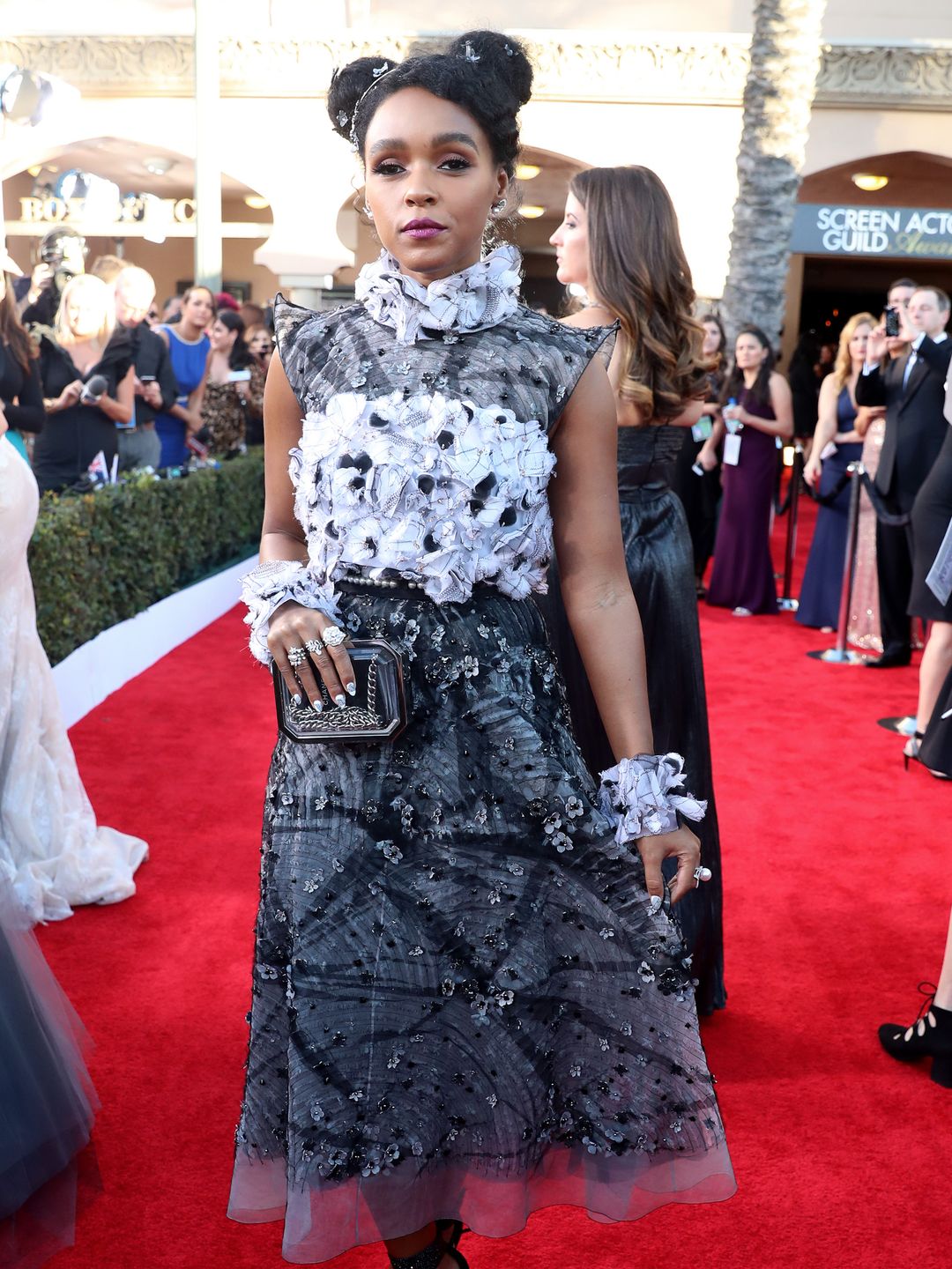 Janelle Monae attends the 23rd Annual Screen Actors Guild Awards in a black and white gown