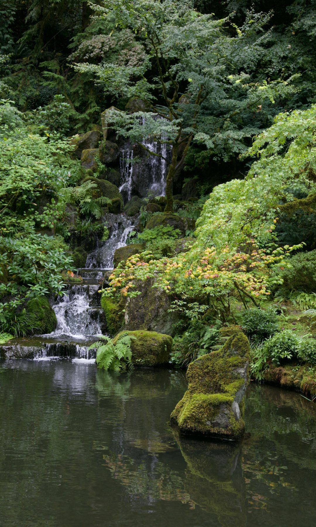 portland japanese garden